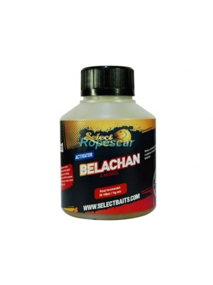 Activator - Belachan - Select Baits 